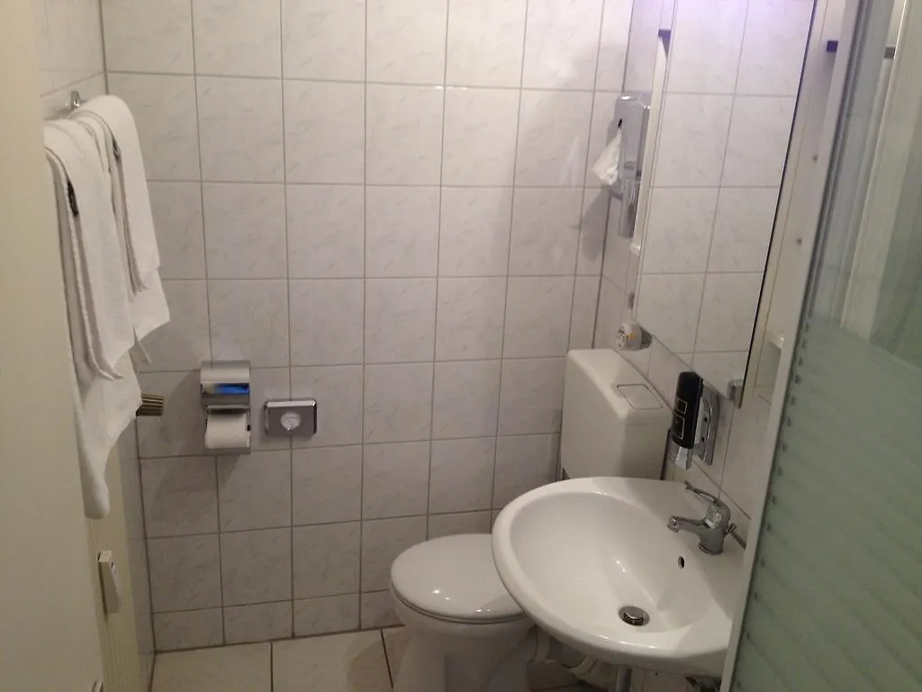 Hotel Alleenhof 美因河畔法兰克福 3*,
